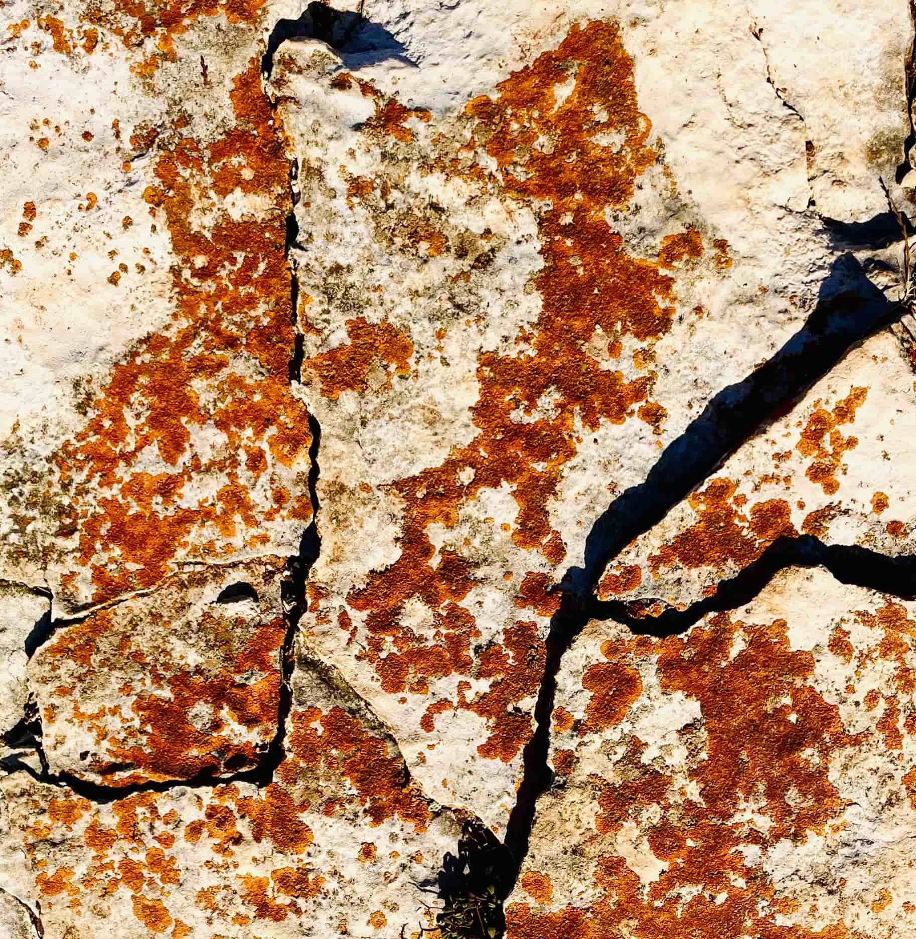 Kontakt za psihoterapiju